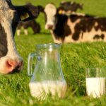 La gestión del agua en la producción de leche un factor crítico para la sostenibilidad