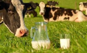 La gestión del agua en la producción de leche un factor crítico para la sostenibilidad