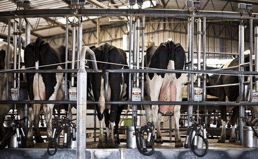 La producción de leche en Argentina no afloja 2026 arranca con crecimiento récord