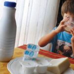 Lácteos y sistema inmunológico