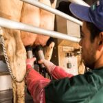 Leche en Argentina producción seguiría la tendencia y crecería en 2026