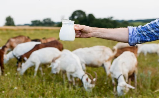 Leche sin pasteurizar riesgos para la salud según expertos