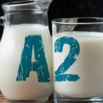 Por qué vale la pena producir leche A2 esto dicen los expertos