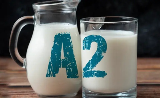 Por qué vale la pena producir leche A2 esto dicen los expertos