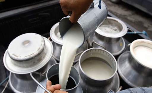 Productores de leche en Bolivia exigen ajuste del precio oficial en 72 h