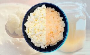 Qué se consume más en México yogur de leche o de agua y por qué sus beneficios son distintos