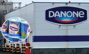 Quién es el dueño de Danone y cómo nació la marca líder en yogurt