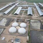 Acciones de Adecoagro saltan un 24% en Nueva York 1