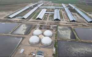 Acciones de Adecoagro saltan un 24% en Nueva York 1