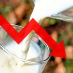 Alerta en Arauca: precio de la leche cae en picada y pierde $300 en un mes 1 Alerta en Arauca precio de la leche cae en picada y pierde $300 en un mes