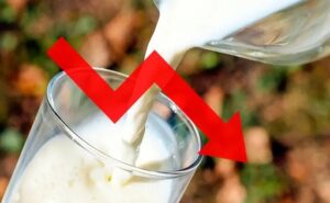 Alerta en Arauca precio de la leche cae en picada y pierde $300 en un mes