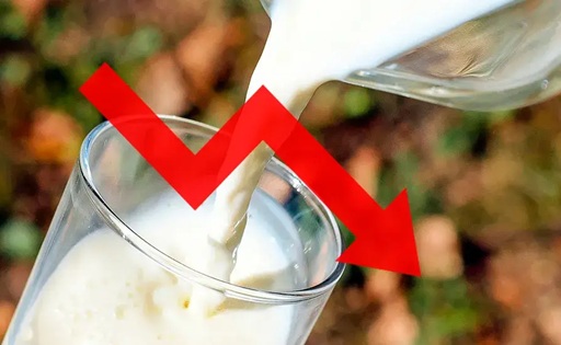 Alerta en Arauca precio de la leche cae en picada y pierde $300 en un mes