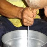 Arauca: El precio de la leche cae a $1.650 por litro 1 Arauca El precio de la leche cae a $1.650 por litro