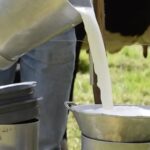 Así quedó el precio de la leche en Colombia para 2026