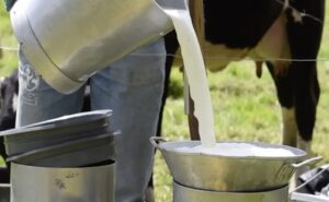 Así quedó el precio de la leche en Colombia para 2026