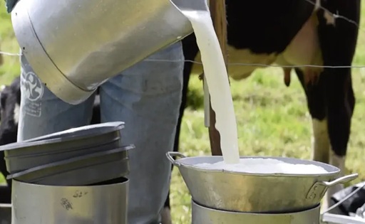 Así quedó el precio de la leche en Colombia para 2026