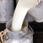 Bolivia exportaciones apuntan a Chile