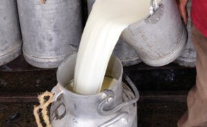 Bolivia exportaciones apuntan a Chile