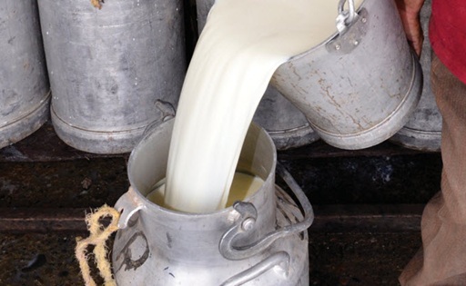 Bolivia exportaciones apuntan a Chile