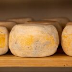 Casu marzu el queso prohibido en Europa que se come con larvas vivas