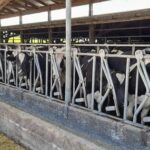 Chile alza productiva regional