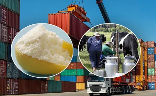 Colombia Gobierno cierra investigación por subsidios a la leche importada