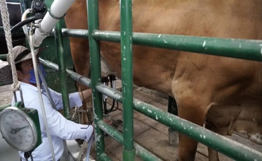 Colombia suben la leche 1,3%, pero los costos ahogan al productor