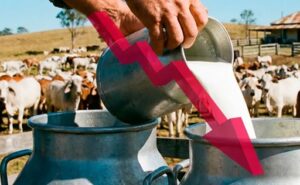 Crisis en la Costa desplome de precios