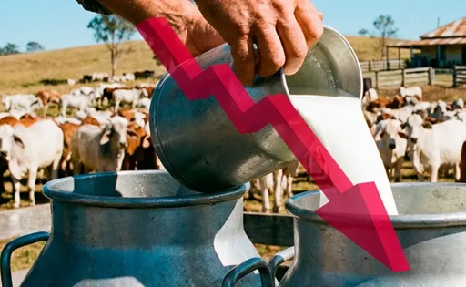 Crisis en la Costa desplome de precios