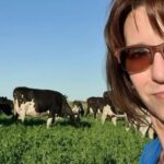 Cruce estratégico para subsistir