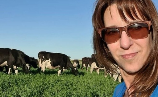 Cruce estratégico para subsistir