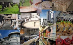 Donde está el piloto