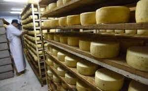 El Queso del Valle de Tafí será el primer lácteo argentino con sello de origen