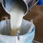 El precio de la leche en crisis y productores al límite