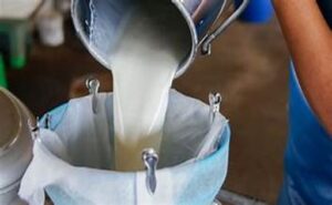 El precio de la leche en crisis y productores al límite