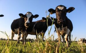 Fedeleche presenta 5 urgencias al nuevo Gobierno