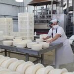 Industria Láctea De la resiliencia a la eficiencia