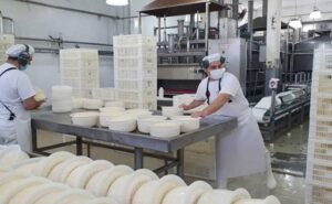 Industria Láctea De la resiliencia a la eficiencia