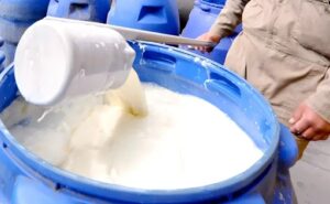 La regulación de precios asfixia al sector lechero en Bolivia