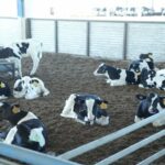 Primera huella de carbono certificada en Córdoba 2 Primera huella de carbono certificada en Córdoba