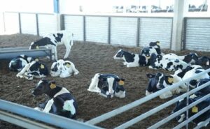 Primera huella de carbono certificada en Córdoba