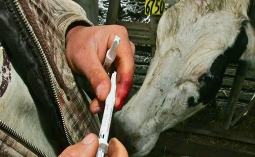 Prohibición de la hormona rBST