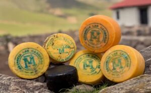 Queso Tafí del Valle Primera IG láctea de Argentina