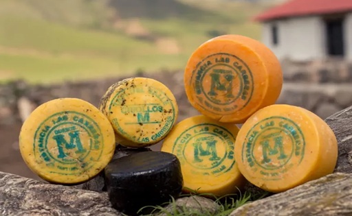 Queso Tafí del Valle Primera IG láctea de Argentina