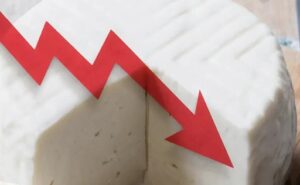 Se derrumba el precio del queso en el norte del país y ganaderos prenden las alarmas