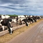 UNVM prevención en la producción