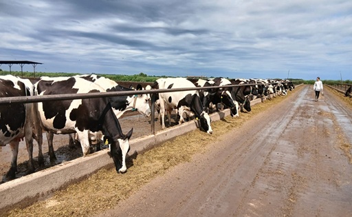 UNVM prevención en la producción