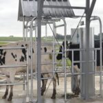 Uruguay espera una zafra de otoño con precios firmes 2 Uruguay espera una zafra de otoño con precios firmes