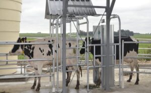 Uruguay espera una zafra de otoño con precios firmes