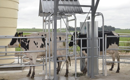 Uruguay espera una zafra de otoño con precios firmes